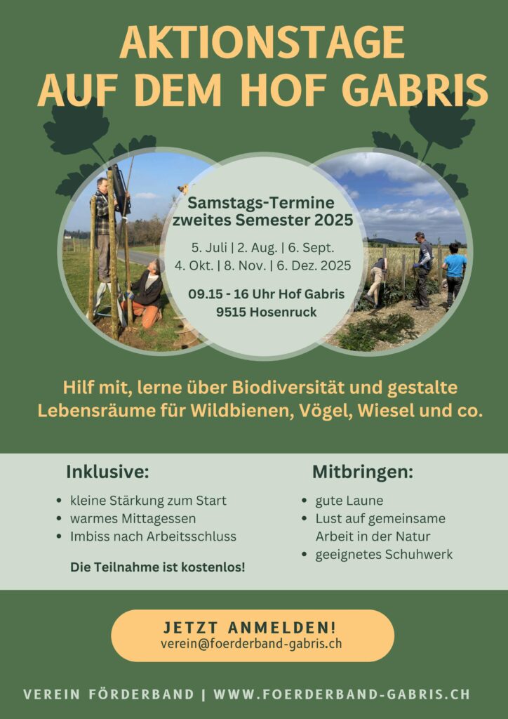 Aktionstage zweites Semester 2025 jeweils Samstag 9.15 Uhr bis 16 Uhr 5. Juli, 2. August, 6. September, 4. Oktober, 8. November, 6. Dezember Anmeldung verein@foerderband-gabris.ch