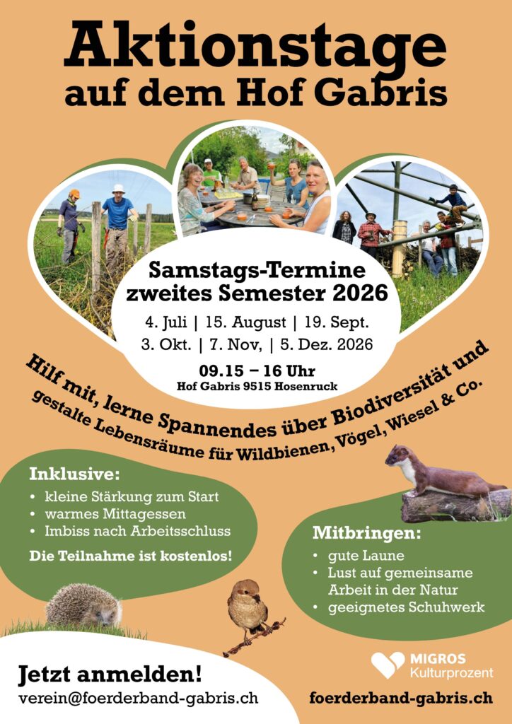 Aktionstage zweites Semester 2026 jeweils Samstag 9.15 Uhr bis 16 Uhr 4. Juli, 15. August, 19. September, 3. Oktober, 7. November, 6. Dezember,
Anmeldung %76%65%72%65%69%6E%40%66%6F%65%72%64%65%72%62%61%6E%64%2D%67%61%62%72%69%73%2E%63%68