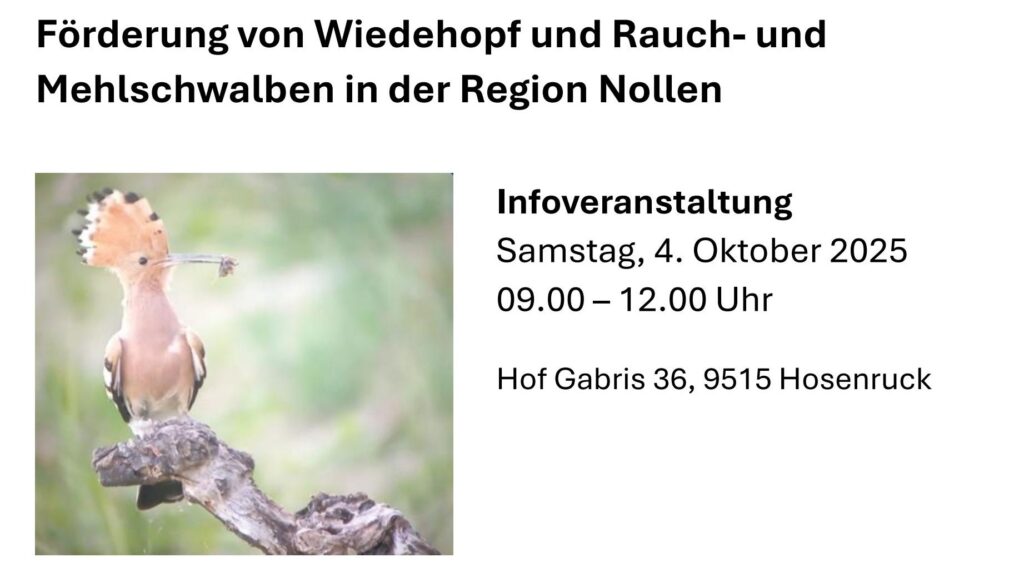 Einladung zur Infoveranstaltung vom Samstag 4. Oktober 2025